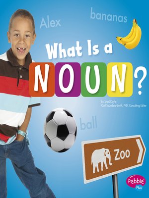 cover image of What Is a Noun?